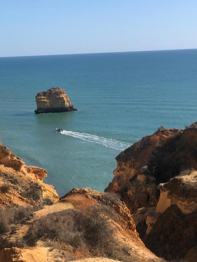 Villa Casa Dos Cedros Carvoeiro  Esterno foto